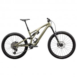 2024 Specialized Stumpjumper EVO Expert Mountain Bike