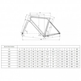 2025 Bianchi SPRINT - 105 Carbon Road Bike - light grey