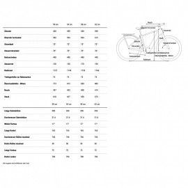 2025 Cube Kathmandu Hybrid C:62 SLT 400X - Carbon Electric Touring Bike
