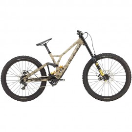 2025 Specialized Demo Race Mountain Bike