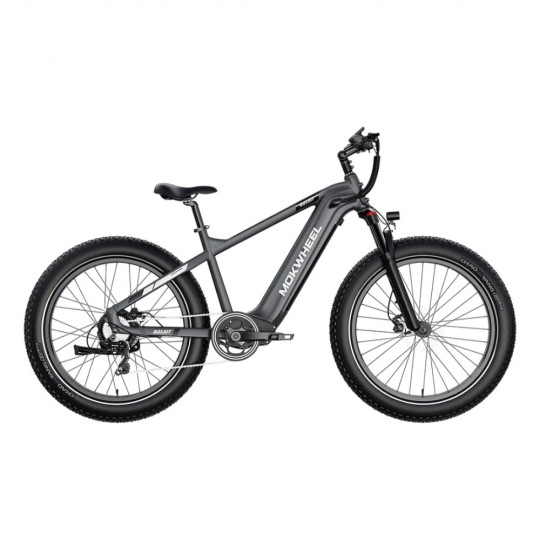 Mokwheel Basalt E-bike