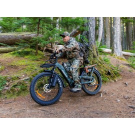Himiway D5 2.0 Camo E-Bikes