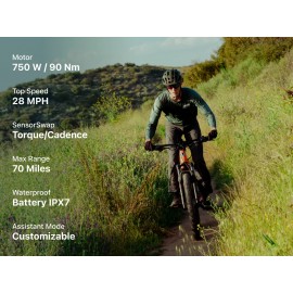 Velotric Summit 1 E-bikes