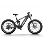 Himiway D7 Pro Mountain e-Bikes