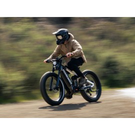 Himiway D7 Pro Mountain e-Bikes