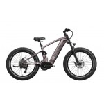 Mokwheel Onyx Ebike