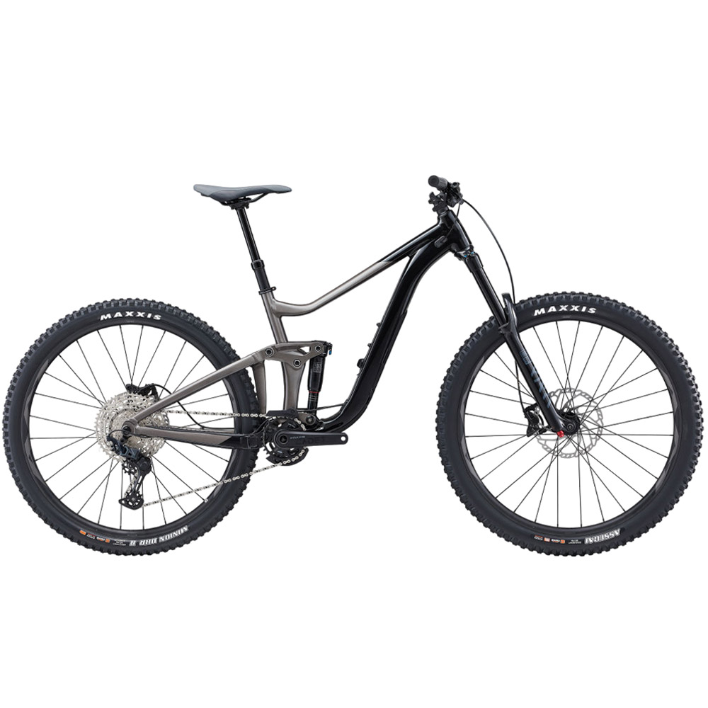 Giant Reign 2 - Mountain Bike - 2024