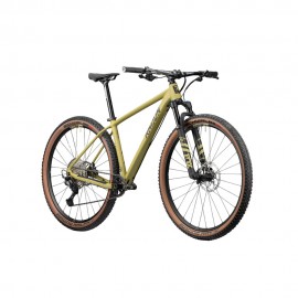 Radon Jealous Al 10.0 - Mountain Bike - 2024