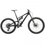 Specialized Stumpjumper EVO Expert T-Type - Mountain Bike - 2024