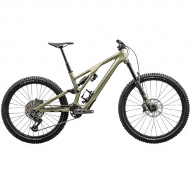 Specialized Stumpjumper EVO Expert T-Type - Mountain Bike - 2024