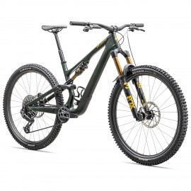 Specialized Stumpjumper 15 Pro - Carbon Mountain Bike - 2025